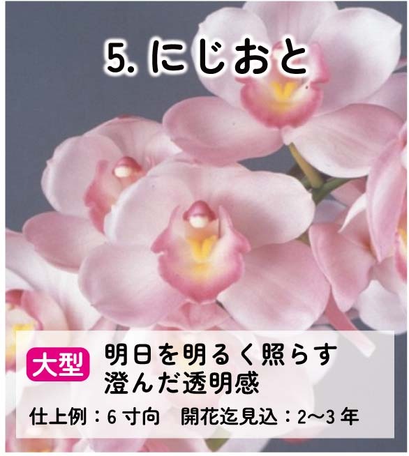 ��2025ǯ�ߡ���26���फ�餪������2������ġ�����٤륷��ӥ�����3��ݥå��ġڤ�����2�����åȡ� 