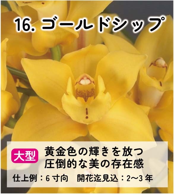 ��2025ǯ�ߡ���26���फ�餪������4������ġ�����٤륷��ӥ�����3��ݥå��ġڤ�����4�����åȡ� 