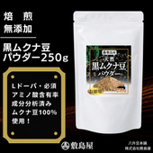 ���९��Ʀ�ѥ�����������250�����ꡡŷ�����������ץ�