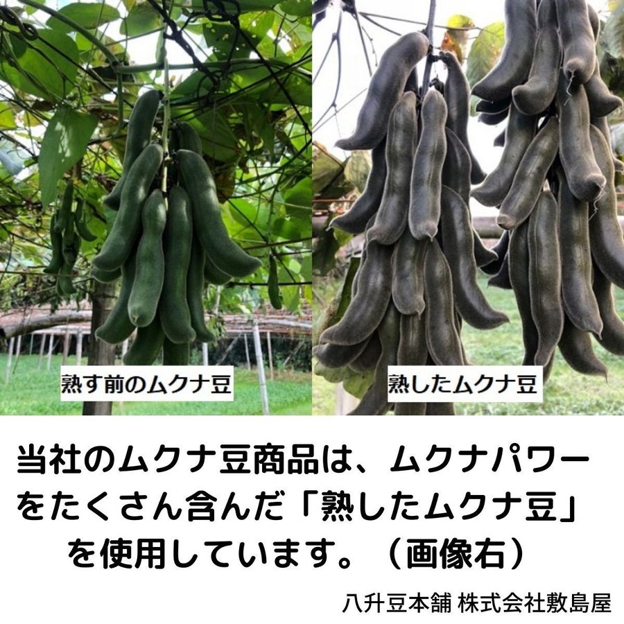 �९��Ʀ��Ȭ��Ʀ�˥ѥ�����90�����ꡡ�񻺥९��Ʀ100��̵������������