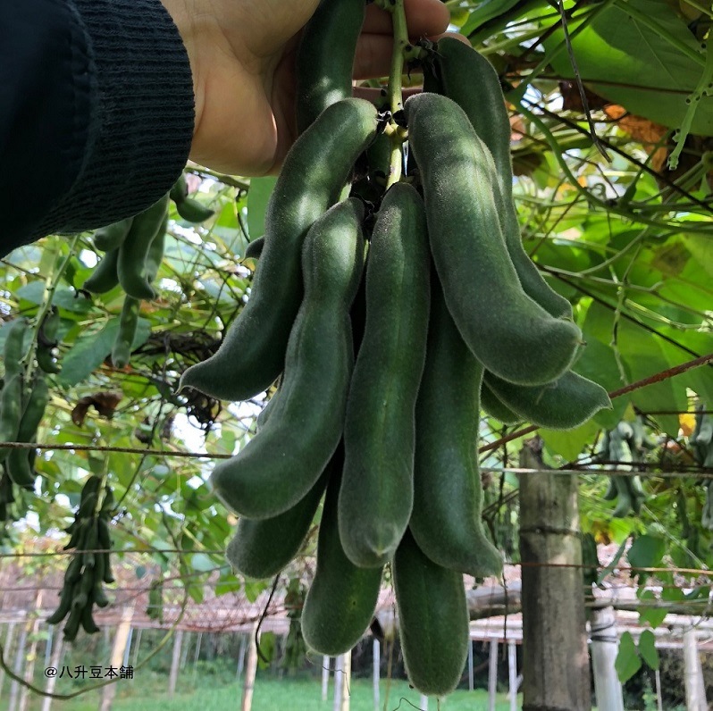 ���Τޤޥ९��Ʀ���񻺥९��Ʀ100��̵������������