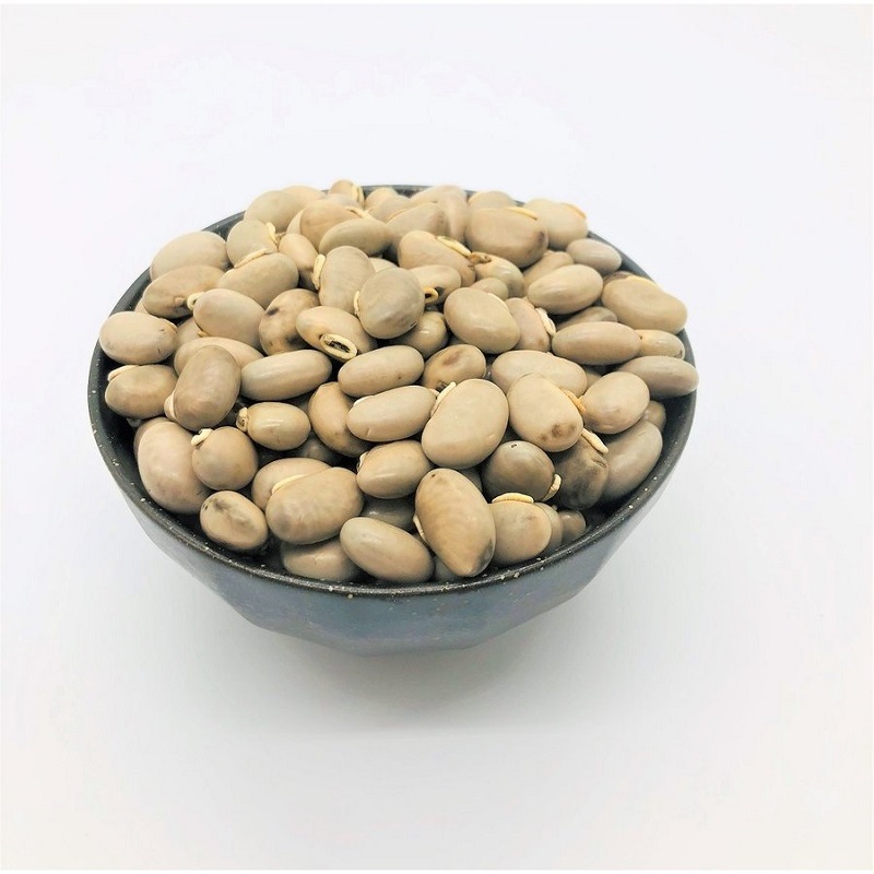 ���Τޤޥ९��Ʀ���񻺥९��Ʀ100��̵������������