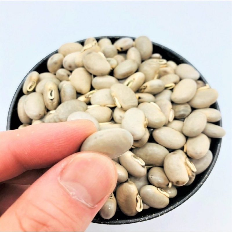 ���Τޤޥ९��Ʀ���񻺥९��Ʀ100��̵������������