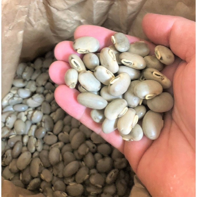 ���Τޤޥ९��Ʀ���񻺥९��Ʀ100��̵������������