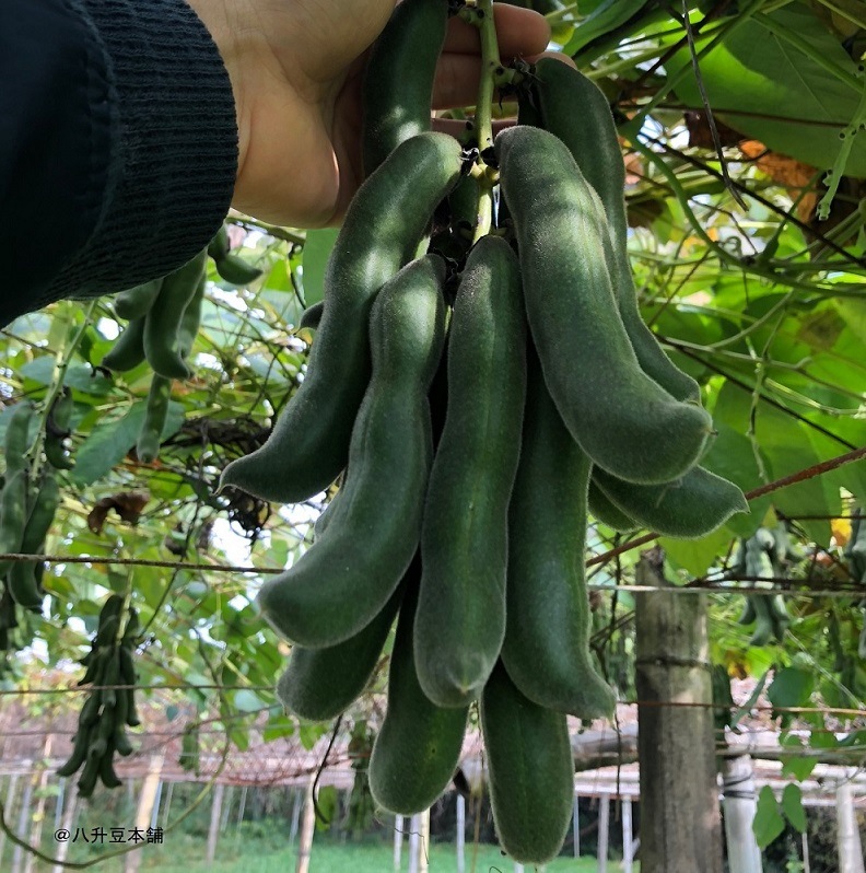 �९��Ʀ����DX��180γ���ꡡŷ�����������ץ�