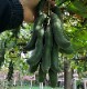 �९��Ʀ����DX��180γ���ꡡŷ�����������ץ�