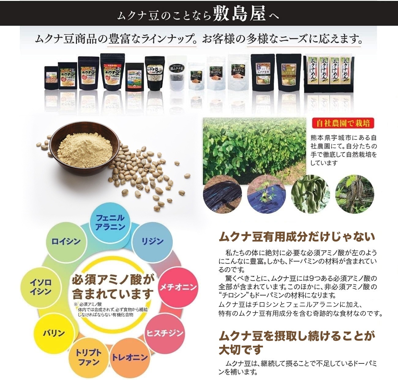 ŷ�����Τޤ޹����९��Ʀ���������ץꡡ300g��