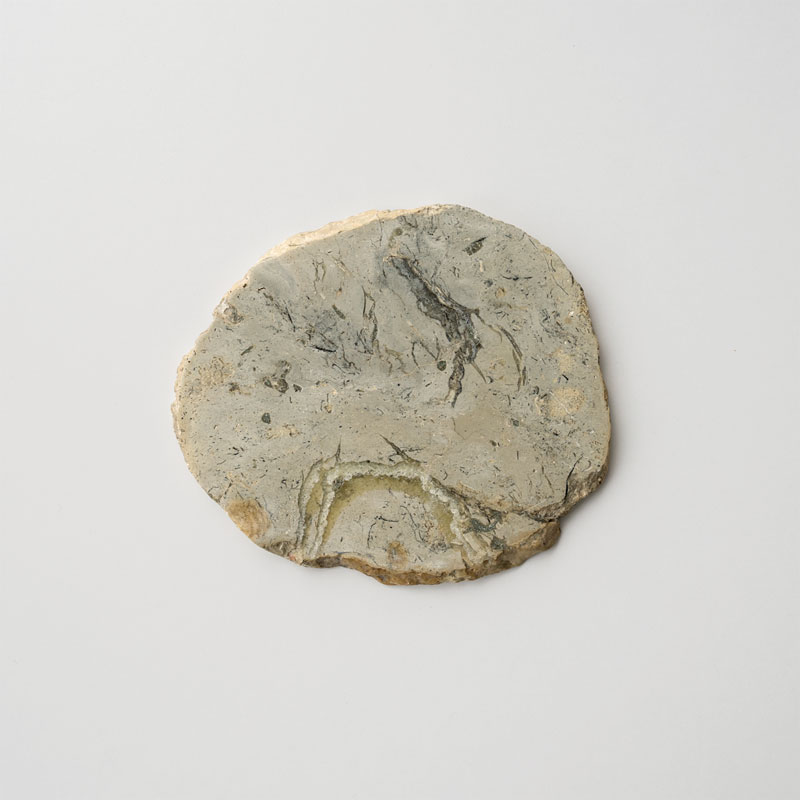 個別販売] JASPER COASTER -Gray-