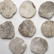 9/5���� [��������]WOOD COASTER / Natural
