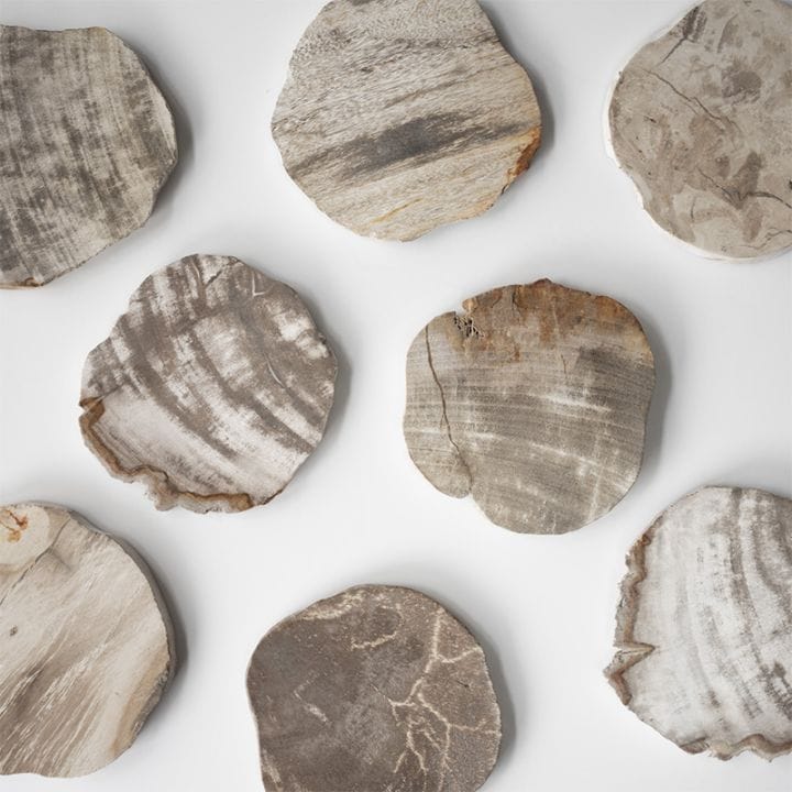 値下げ　高品質　レア　BIG ブルーペトリファイドウッド　プレート　珪化木 個別販売]WOOD COASTER / Natural