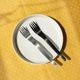 MITTE SPOON (4Colors)<br>MITTE FORK (4Colors)