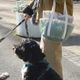 WALKING MESH BAG(5type)