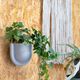 TERRACOTTA HANGING POT (4type)