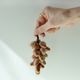 STONE GRAPE(3type)