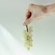 STONE GRAPE(3type)