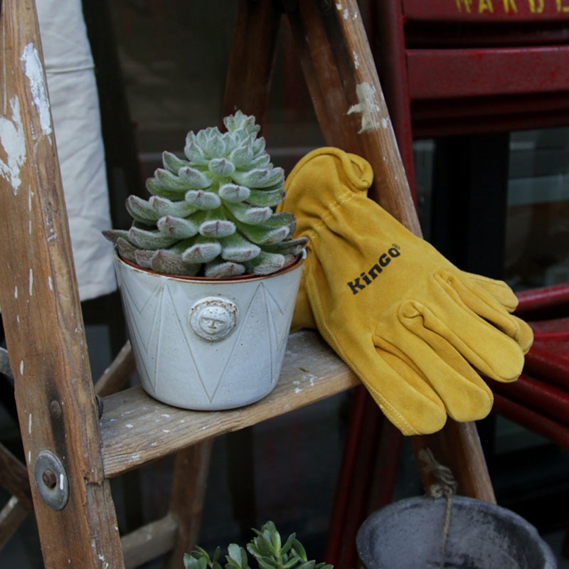 ��SALE��FOLK POT