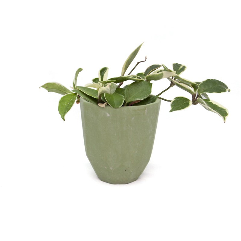 CEMENT PLANTER -POLYGON- / Green��M��