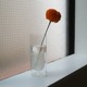 DW VASE (2size / 7color)