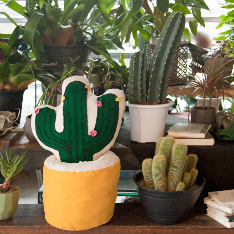 CACTUS CUSHION / Pillar