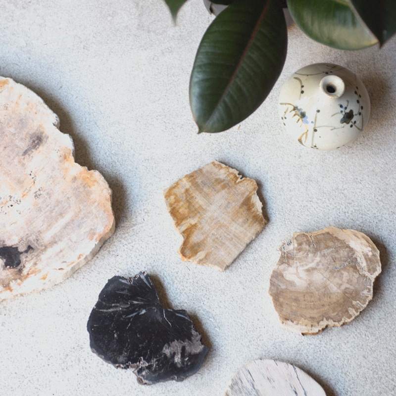 [��������] WOOD COASTER / Natural