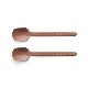 DESSERT SPOON(2pcs set) 4color