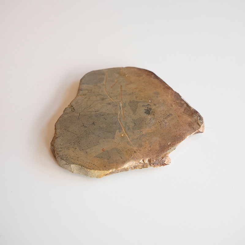 [��������] JASPER COASTER -Gray-