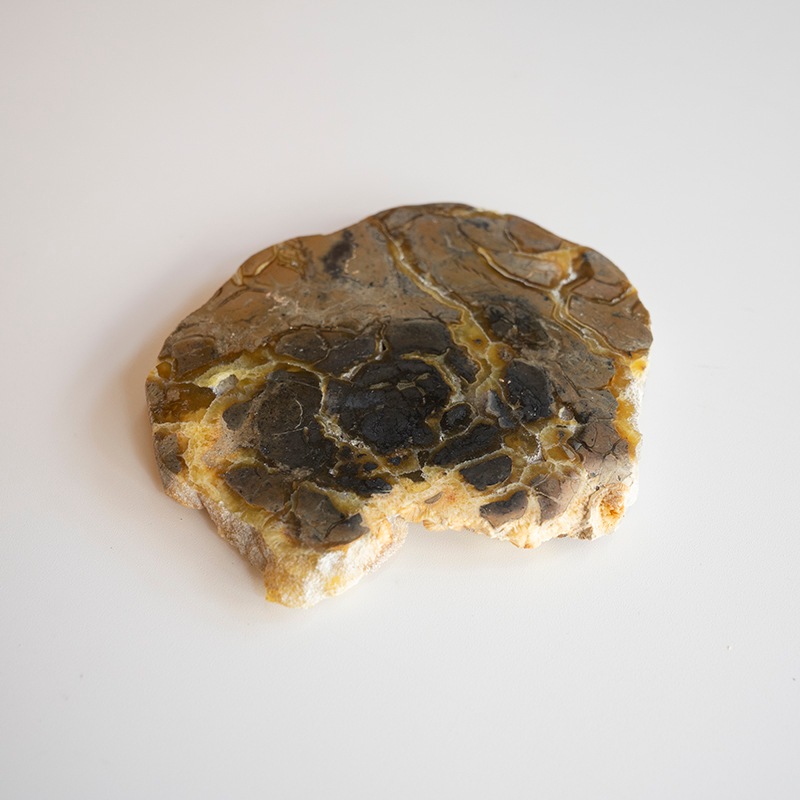 [��������] JASPER COASTER -Gray-