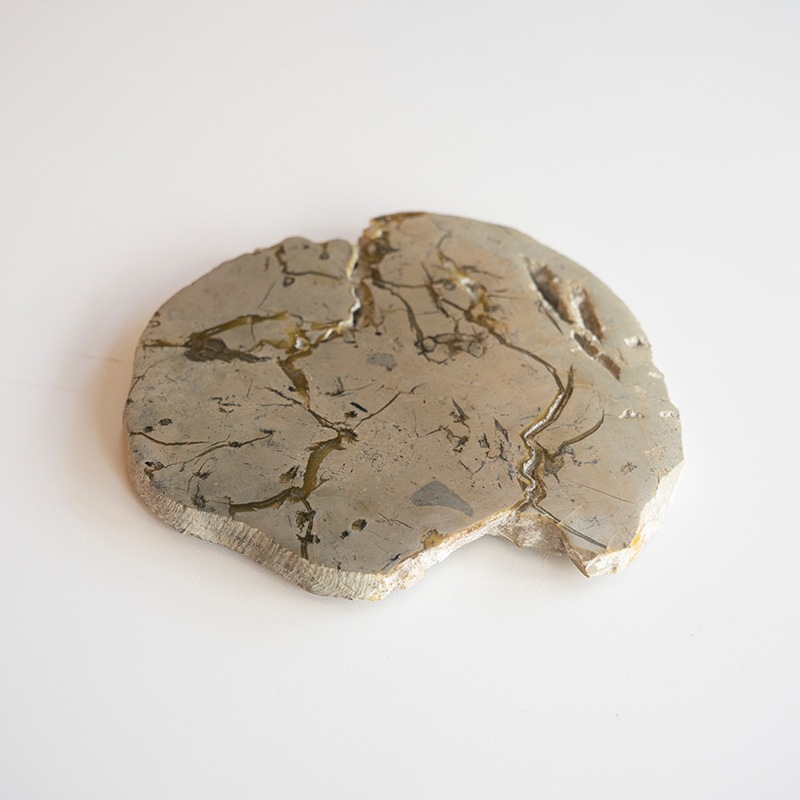 [��������] JASPER COASTER -Gray-