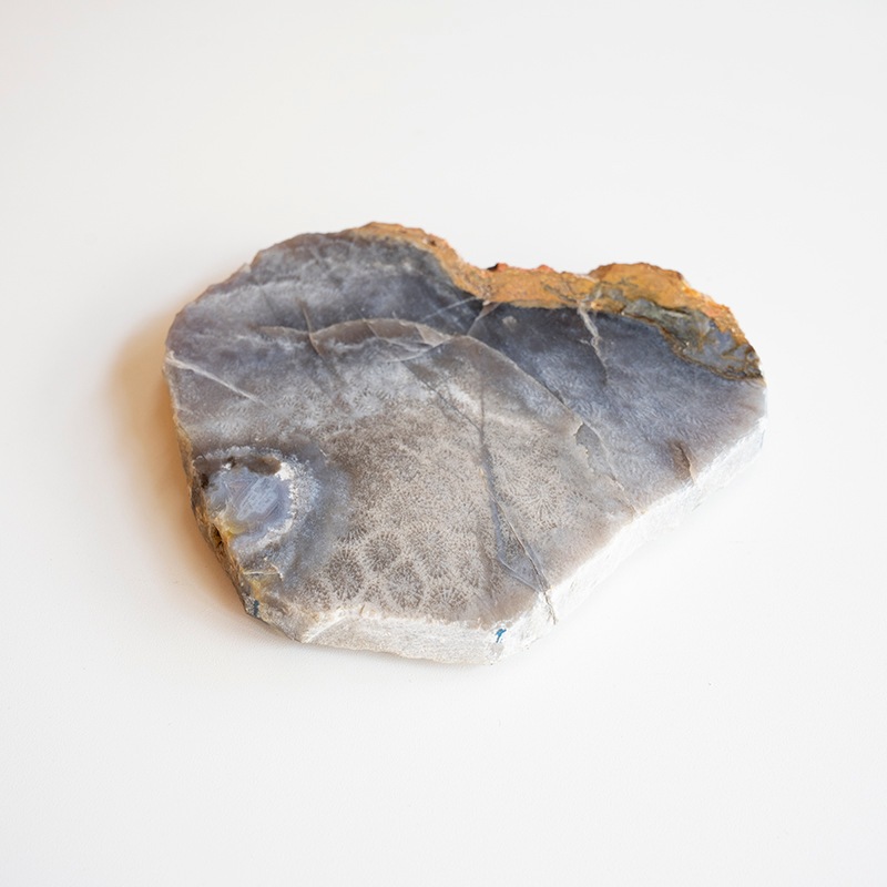 [��������] CORAL COASTER