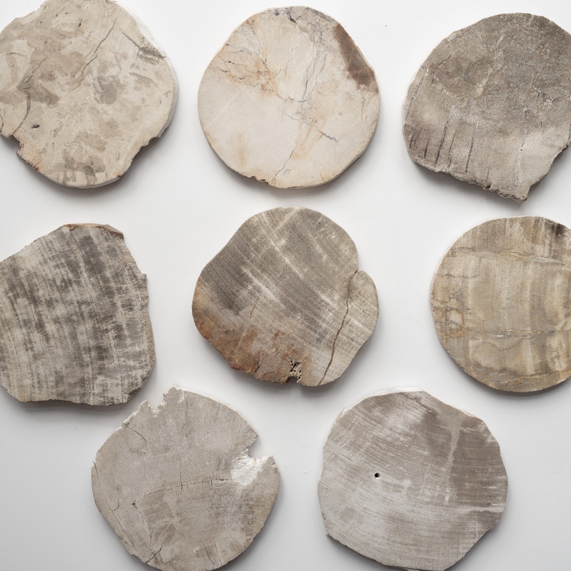 8/20���� [��������]WOOD COASTER / Natural