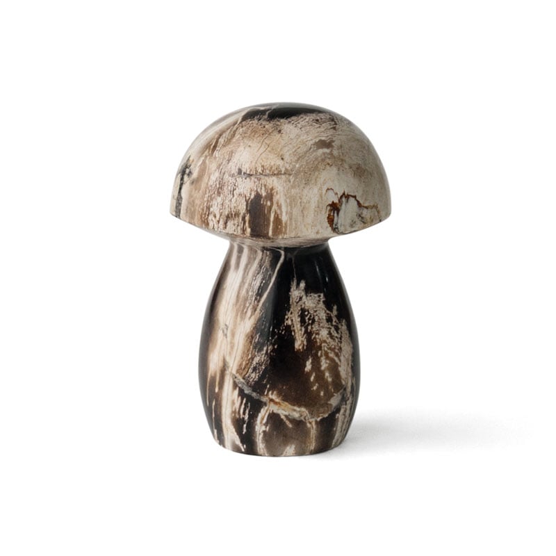 MUSHROOM STONE - Petrified Wood - ��2size��