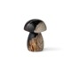 MUSHROOM STONE - Petrified Wood - ��2size��
