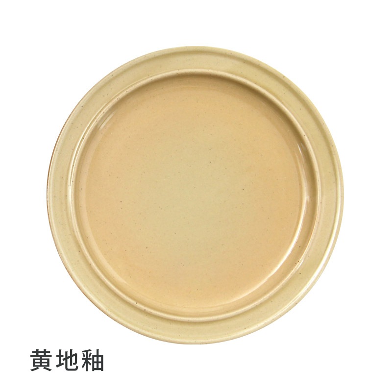 REGULAR PLATE ( 5Color )