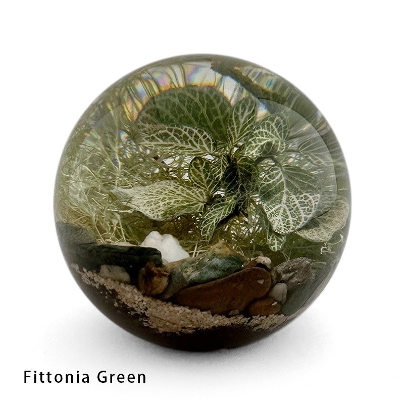 EVER LEAF BALL (3Type)