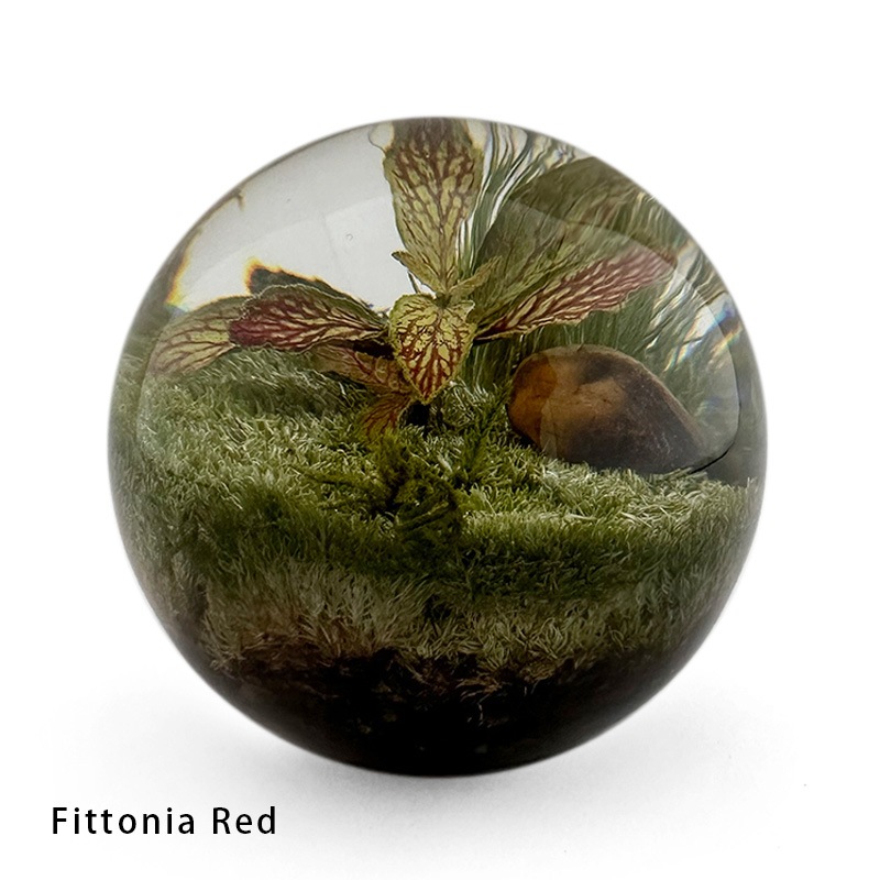 EVER LEAF BALL (3Type)