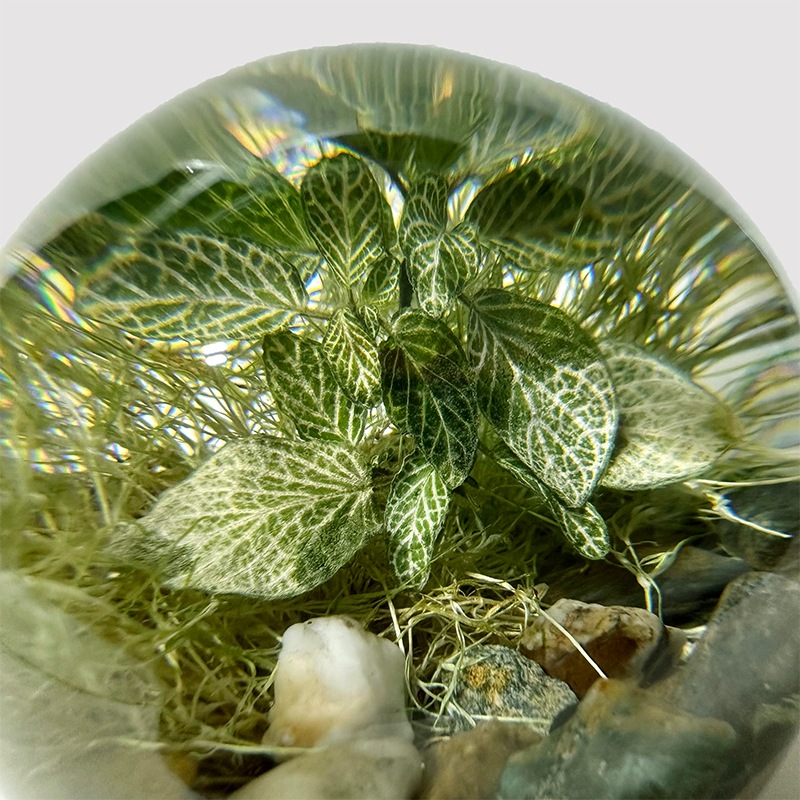 EVER LEAF BALL (3Type)