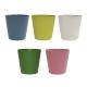 ��SALE��COLOR POT ��L��