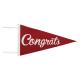 ��SALE��PENNANT / Congrats