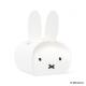 Dick Bruna Flavor Tea / miffy