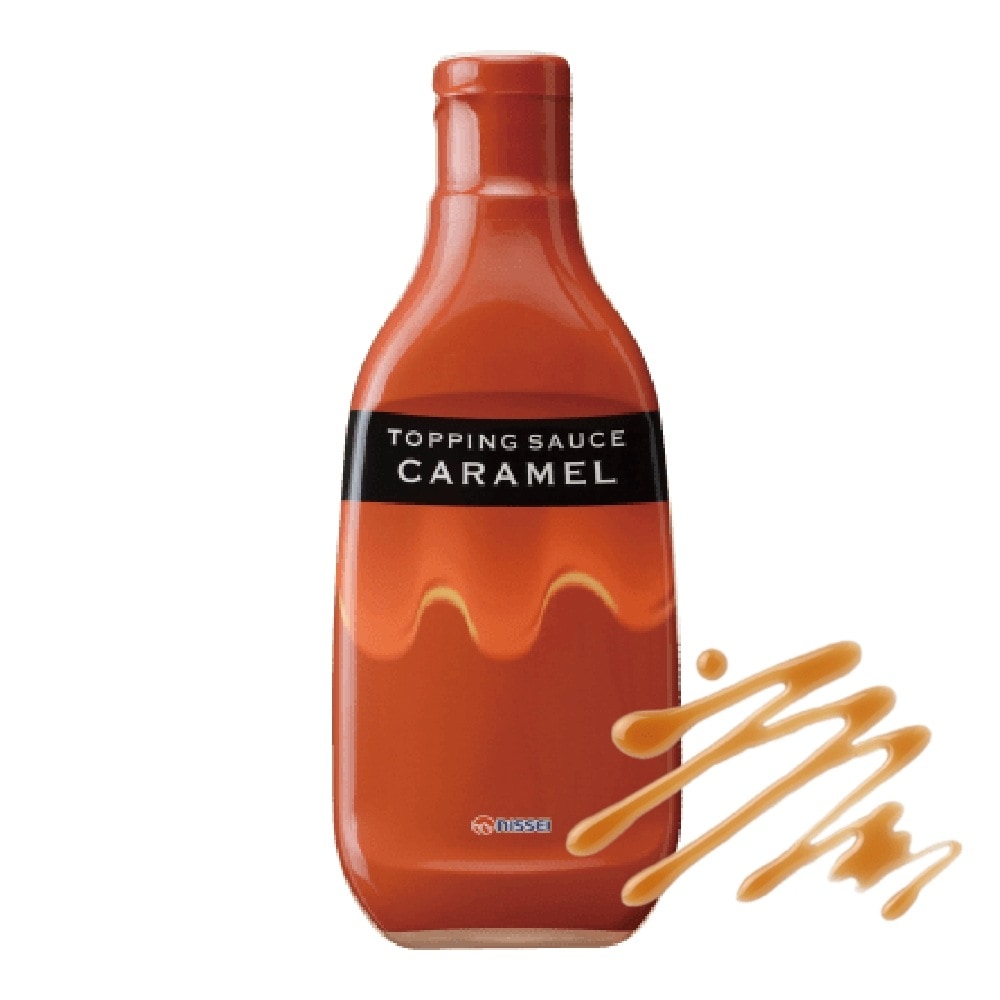 日世 トッピングソース キャラメル 340g