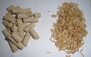 専用　バクテリオファージ5つセット 楽天市場】2/5(木)限定10%OFFクーポン【公式】イスクラファージ