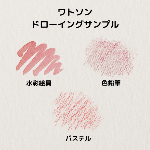 ワトソンブック (SM／F3)