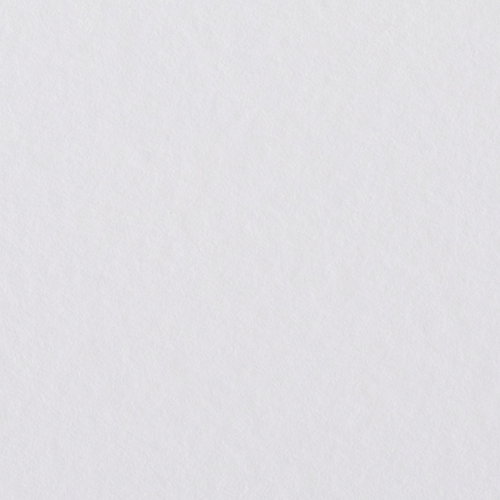 キャンソン ミ・タント #335 (G/E判)