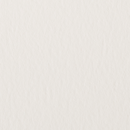 ワトソンブロック (F4／F6／F8／F10)