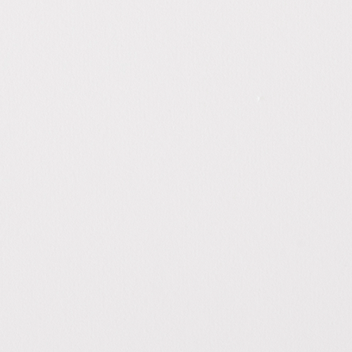 アルシュ88　細目　（中判）