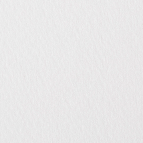 ホワイトワトソンブロック (SM／F2)