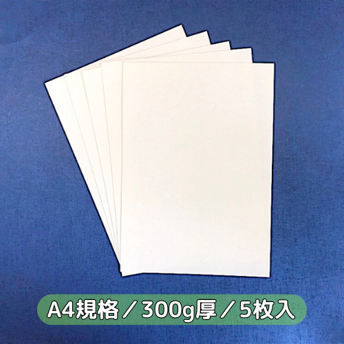 大輔様シール4 ボンド1