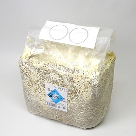 昆虫飼育用具セット 菌糸ブロック崩し 産卵木 ノギス スケールなど 昆虫飼育用具セット 菌糸ブロック崩し 産卵木 ノギス スケールなど