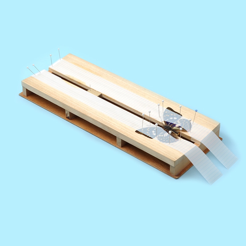 �����ѡ�Ÿ�¥ơ��� 4��