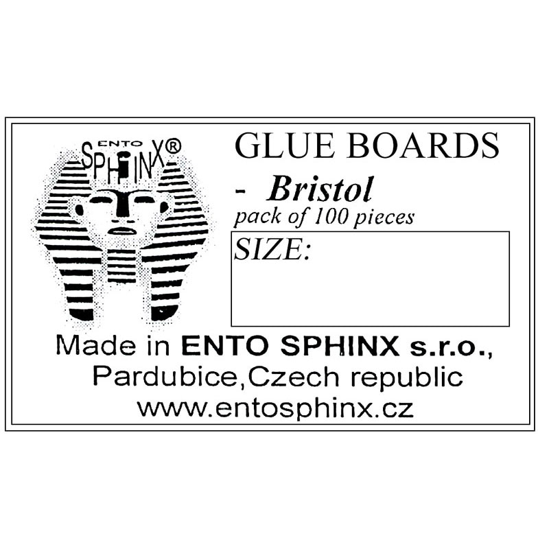 Žդ(Bristol) 11x4mm